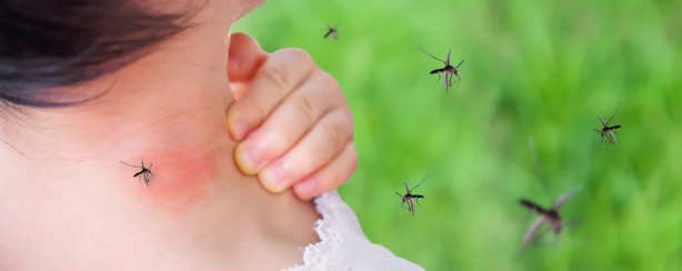 ребёнок укус комара